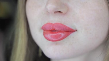 Dudak makyajından sonra yarı açık dudaklar, zengin pigmentli doğal görünüş ve pürüzsüz karıştırma etkisi..