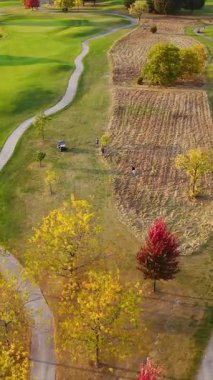 Sonbahar ağaçları ve patikaları olan bir golf sahasının havadan görünüşü canlı bir hava manzarası yemyeşil otlar, dolambaçlı yollar ve renkli sonbahar ağaçlarıyla dolu bir golf sahasını gösteriyor.