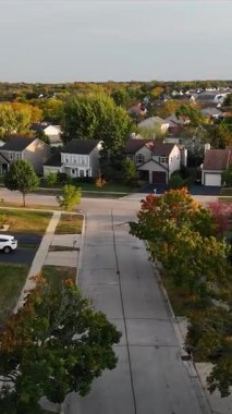 Amerika Birleşik Devletleri 'nin Illinois eyaletinde bir köy olan Renkli Sonbahar Ağaçları ile Banliyö Mahallesi Havadan Görünümü.