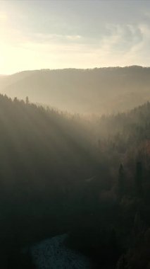 Güneşli Dağ Vadisi ve Puslu Orman. Sakin dağ vadisi, sisli ormanlar ve uzak tepelerle altın güneş ışığıyla yıkandı. Huzurlu bir doğal manzara yarattı.