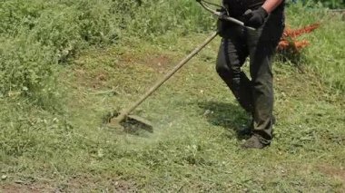 Arka bahçede çim biçmek için tel biçme makinesi kullanan bir adam. Koruyucu eldivenler ve hassas hareketler çimlerin bakımını ve bahçe bakımını arttırır..