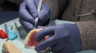Diş modeli ve aletlerle dişçilik eğitimi. Klinik eğitim sırasında hassas aletler kullanılarak yapay çene modeli üzerinde diş işlemleri uygulayan eldivenli ellerin yakın çekimi