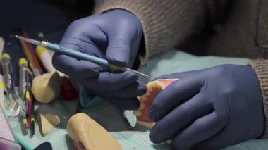 Diş Eğitimi ve Model Hazırlama, Eldivendeki Eller Yapay Diş Dişetleri ve Diş Aracıları.