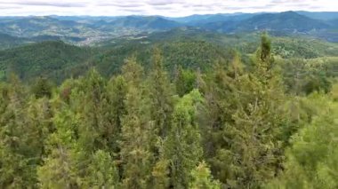 Uçsuz bucaksız Karpat Ormanları, Uzak Dağ Dağlarına uzanan Yoğun Evergreen Ağaçları.