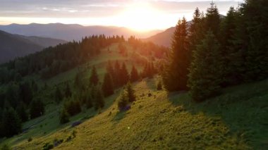 Karpatlar Vadisi 'nde Gündoğumu Ahşap Kulübeler, Orman Tepeleri ve Sabah Buğusu.