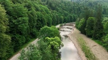 Orman Vadisi 'nden akan hava manzaralı nehir kıvrımlı yol ve derenin havadan görüntüsü yoğun yeşillikle çevrili..