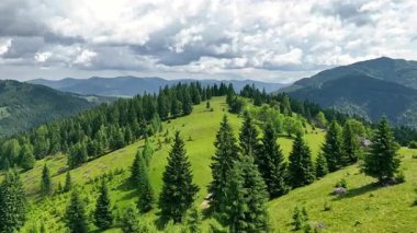 Yoğun ormanları olan güneşli dağ manzarası, Yeşil Tepeler 'in havadan görünüşü ve Karpat Dağları üzerindeki dramatik bulutlar..