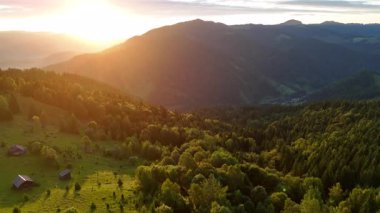 Yeşil orman tepeleri üzerinde gün doğumu manzarası, güneşin doğuşuyla yemyeşil dağ ormanlarının havadan görünüşü, altın güneş ışığının yuvarlanan arazide dramatik gölgeler oluşturması.