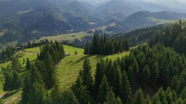 Çam ormanı ve dağ köyünün havadan görünüşü. Yoğun çam ağaçları, yeşil tepeler ve dramatik tepelerin arasına kurulmuş uzak bir dağ köyünü gösteren manzaralı bir manzara.