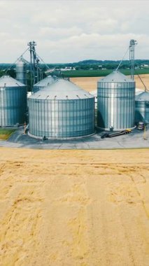 Olgun bir altın buğday tarlasının ortasındaki modern tahıl ambarlarının kuş bakışı görüntüsü. Buğday tarlasının ortasında tahıl için sığınaklar. Metal silolar.