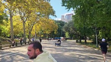 New York ABD 14.10.2024: Central Park 'ta Yürüyen ve At Arabaları Çevrelenmiş Sonbahar Ağaçları ve Gökdelenler Arkaplanda, editoryal yaşam tarzı ve boş zamanların şehir manzarası.