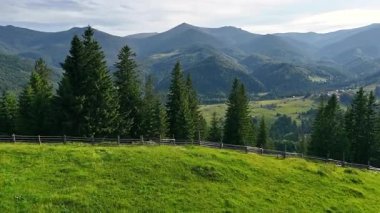 Çam ağaçları ve köy vadisi olan dağ manzarası. Yüksek çam ağaçlarıyla dolu yemyeşil bir yamaç manzaralı bir vadiye bakıyor evlerle benekli ve dağ tepeleriyle çevrili.