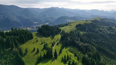 Orman tepelerinden geçen dağ sırtı patikaları. Yoğun yeşil ormanı kesen ve yumuşak gün ışığı altında dağlık tepe boyunca uzanan çayırları kesen dolambaçlı toprak bir patikanın havadan görünüşü.