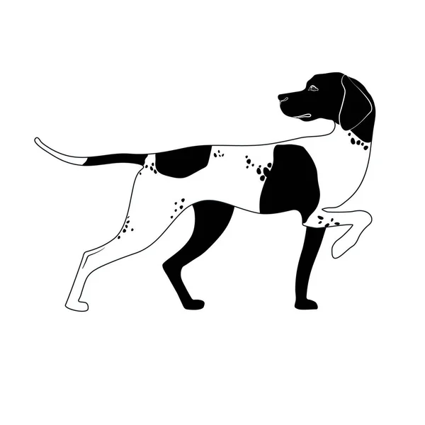 Κυνηγόσκυλο Αγγλικός Δείκτης Εικονογράφηση Διάνυσμα Επίπεδο Στυλ — Διανυσματικό Αρχείο
