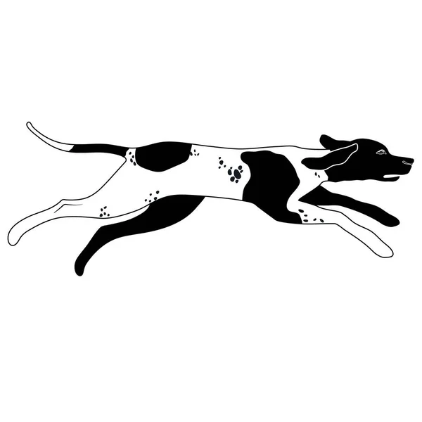 Laufender Jagdhund Englischer Zeiger Vektor Illustration Flachen Stil — Stockvektor
