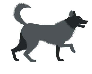 Vector element in flat style of walking a dog.