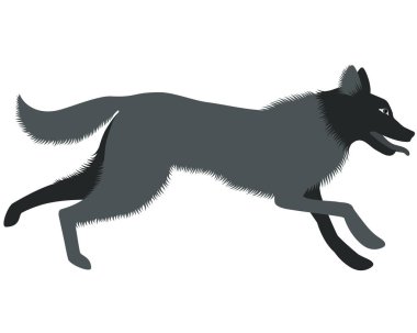 Vector element in flat style of running dog.