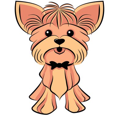 Yorkshire Terrier cinsinden bir vektör köpek..