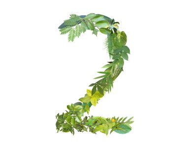 2 sayısının şekli beyaz arkaplanda izole edilmiş çeşitli yapraklardan yapılmıştır. Doğum günü, yıldönümü ve anma günü şablonları için uygun