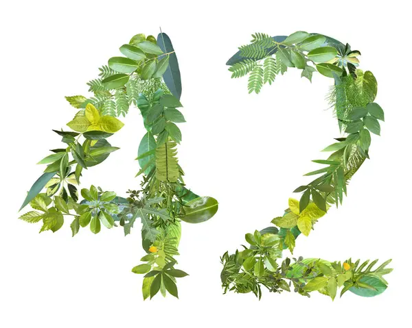 The shape of the number 42 is made of various kinds of leaves isolated on white background. suitable for birthday, anniversary and memorial day templates