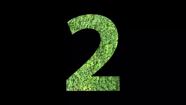 ナンバー1 9のビデオは黒い背景に緑の草で作られています — ストック動画