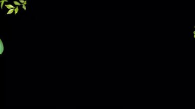 6 sayısının videosu, siyah arkaplanda çeşitli yeşil yapraklardan yapılmıştır. 