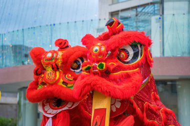 Çin Yeni Yıl Festivali 'nde (Tet Festivali) aslan dansı - ejderha ve aslan dansı - Vietnam' da sokak gösterileri