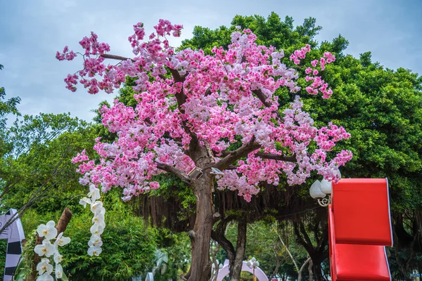 Colorful Blossoms Bloom Small Village Tet Festival Vietnam Lunar Year — Foto Stock