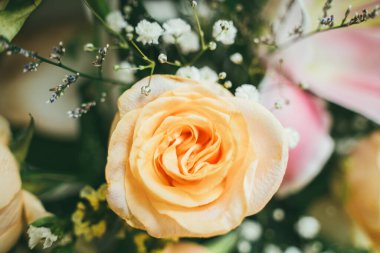 Bouquet of fresh red roses, flower bright background. Close up of a red rose with water droplets.