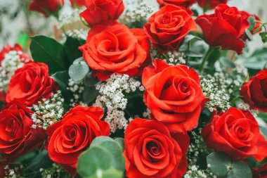 Bouquet of fresh red roses, flower bright background. Close up of a red rose with water droplets.