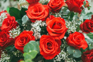 Bouquet of fresh red roses, flower bright background. Close up of a red rose with water droplets.