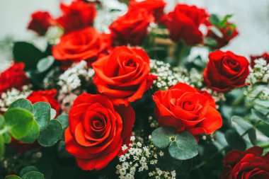 Bouquet of fresh red roses, flower bright background. Close up of a red rose with water droplets.