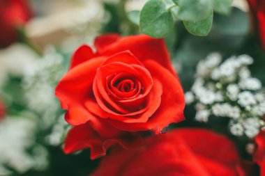 Bouquet of fresh red roses, flower bright background. Close up of a red rose with water droplets.