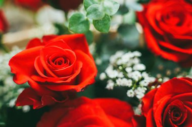 Bouquet of fresh red roses, flower bright background. Close up of a red rose with water droplets.