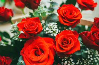 Bouquet of fresh red roses, flower bright background. Close up of a red rose with water droplets.