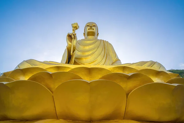 金色の仏像の手は チョン ホン修道院で蓮を保持 — ストック写真