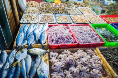 Variety of fresh seafood on market. Fresh salmon, sea bass, red snapper, mackerel, crab, lobster, shrimp, black mussels, oyster, scallop and octopus on ice in market