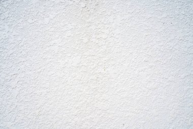 Empty green grass wall frame as background. Tree branch with green leaves and grass on white brick wall background.