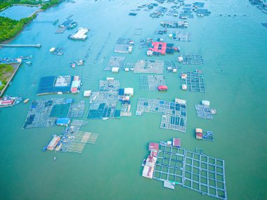 İstiridye çiftliğinin bir köşesi, Long Son komünü, Ba Ria Vung Tau vilayetinde yüzen balıkçı köyü Vietnam. Yüzen köyde yaşayan ve balık besleyen insanlar..