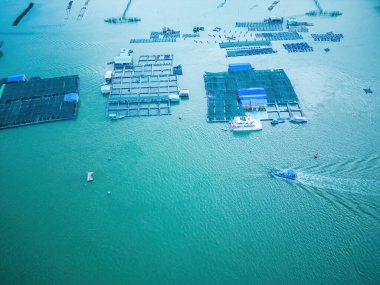 İstiridye çiftliğinin bir köşesi, Long Son komünü, Ba Ria Vung Tau vilayetinde yüzen balıkçı köyü Vietnam. Yüzen köyde yaşayan ve balık besleyen insanlar..