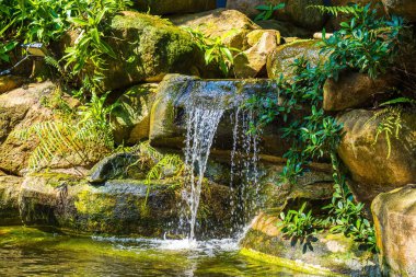 Japanese garden waterfalls. Lush green tropical Koi pond with waterfall from each side. A lush green garden with waterfall cascading down the rocky stones. Zen and peaceful background.