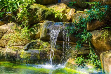 Japanese garden waterfalls. Lush green tropical Koi pond with waterfall from each side. A lush green garden with waterfall cascading down the rocky stones. Zen and peaceful background.