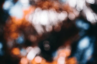 Yellow Bokeh of Light. Golden Bokeh of Light. Defocused light with black background. Night life light bokeh. Sparkle bokeh.