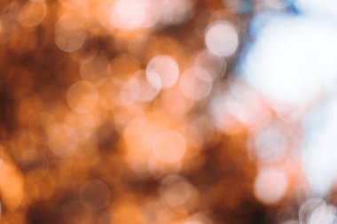 Yellow Bokeh of Light. Golden Bokeh of Light. Defocused light with black background. Night life light bokeh. Sparkle bokeh.