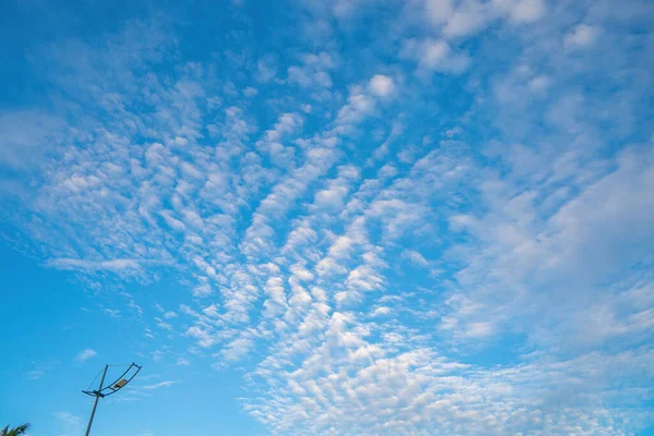 Background cloud summer. Cloud summer. Sky cloud cinematic. Natural sky beautiful and cinematic sunset texture background
