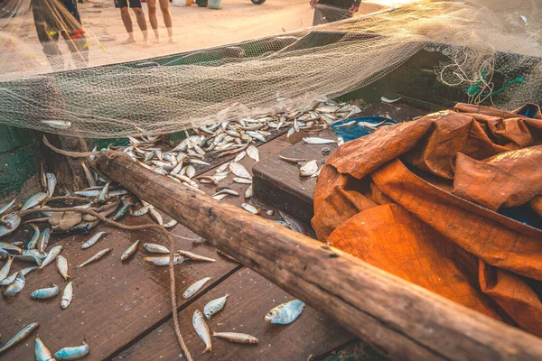 Sea Nets Fishing Equipment Tackle Texture Backdrop Natural Sunlight Shadow — Stock Photo, Image