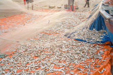 Sea nets - fishing equipment or tackle as texture backdrop with natural sunlight and shadow. Blue textured background of fishing nets close-up, marine design for craft of fishermen.