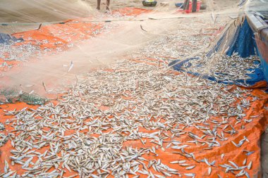 Sea nets - fishing equipment or tackle as texture backdrop with natural sunlight and shadow. Blue textured background of fishing nets close-up, marine design for craft of fishermen.
