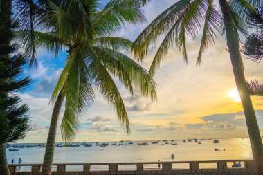 Summer background with coconut trees and sunset warm tone. Beautiful coconut palm tree in sunny day background. Travel tropical summer beach holiday