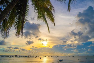 Summer background with coconut trees and sunset warm tone. Beautiful coconut palm tree in sunny day background. Travel tropical summer beach holiday